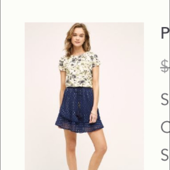 Anthropologie Primrose chiffon skirt - Picture 6 of 7